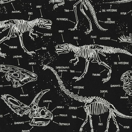 Glow Dinosaur Skeletons Black