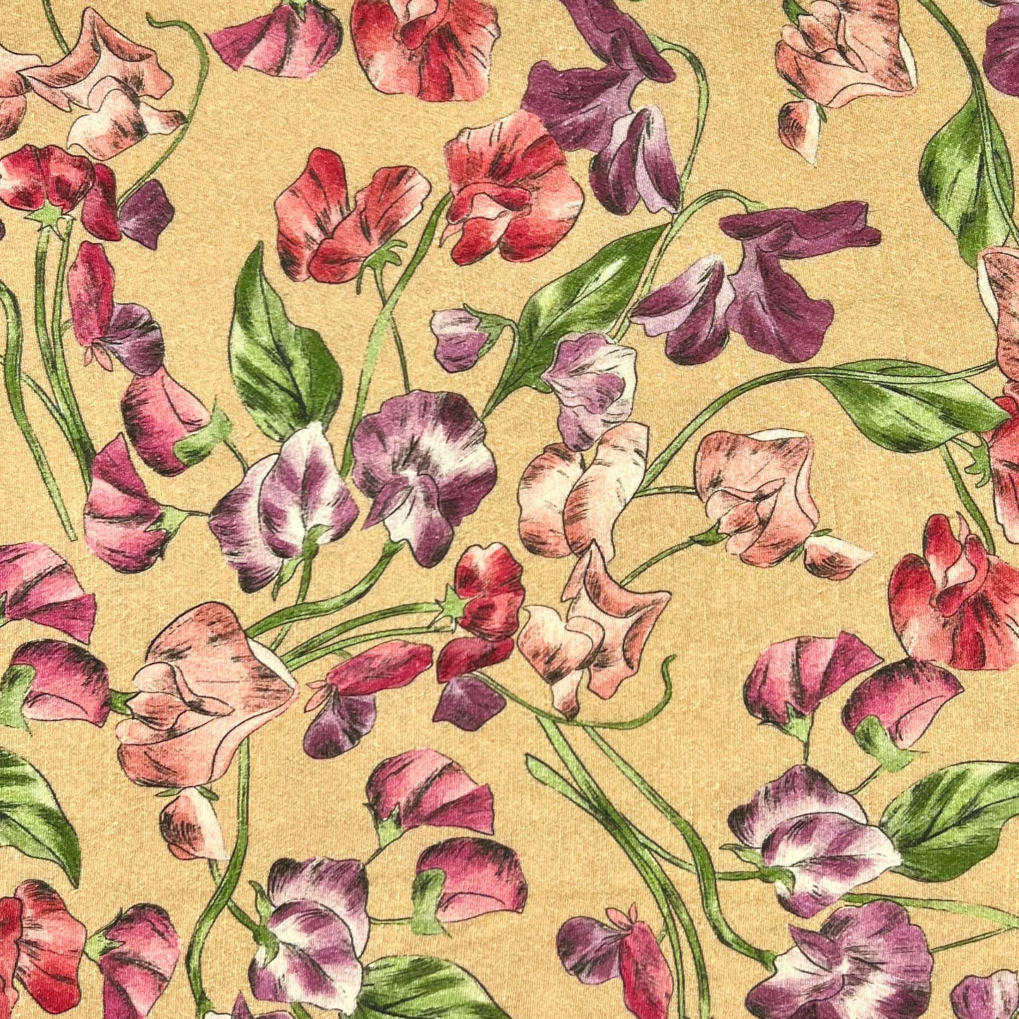 Lady McElroy-Sweet-Pea Elegance Viscose Crepe-fabric-gather here online