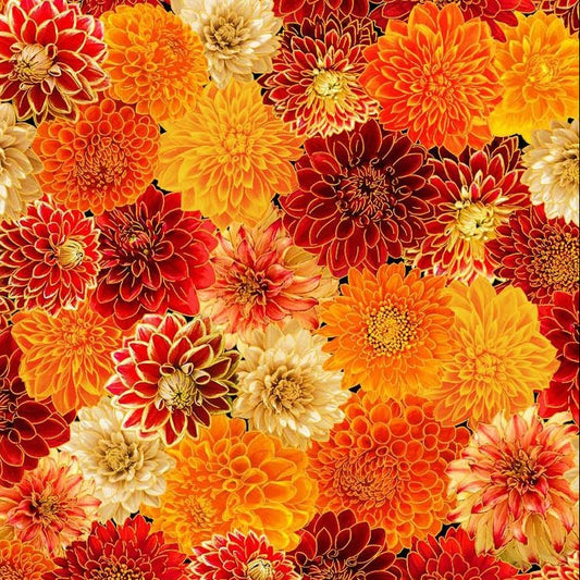 Chrysanthemum Mix Mums