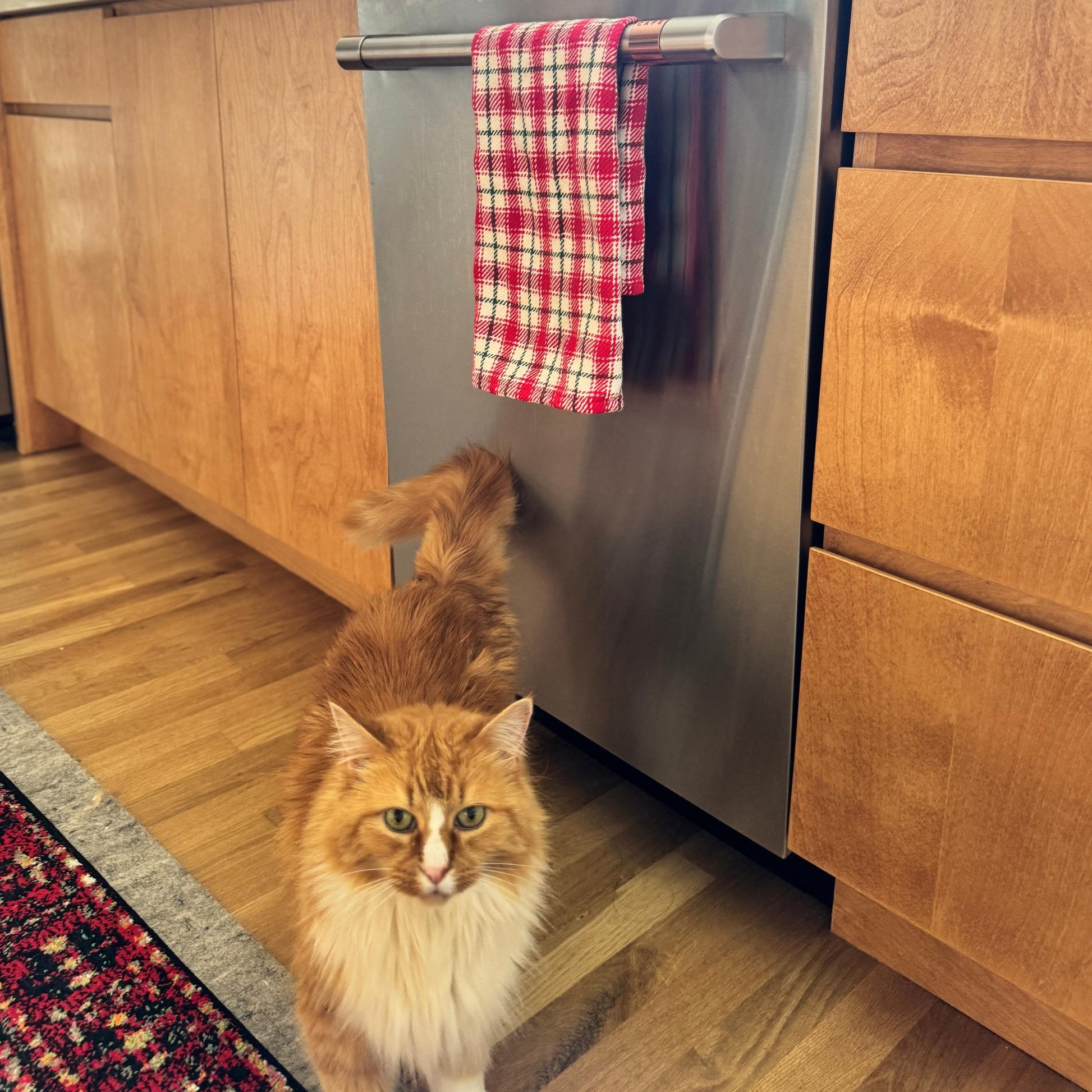 gather here classes-Rigid Heddle Loom Holiday Towel - 4 sessions-class-gather here online