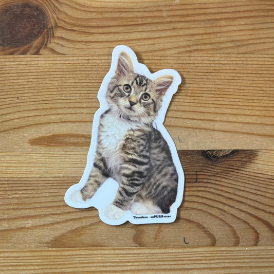 gather here-Theodore su-PURR-visor Sticker-sticker-gather here online