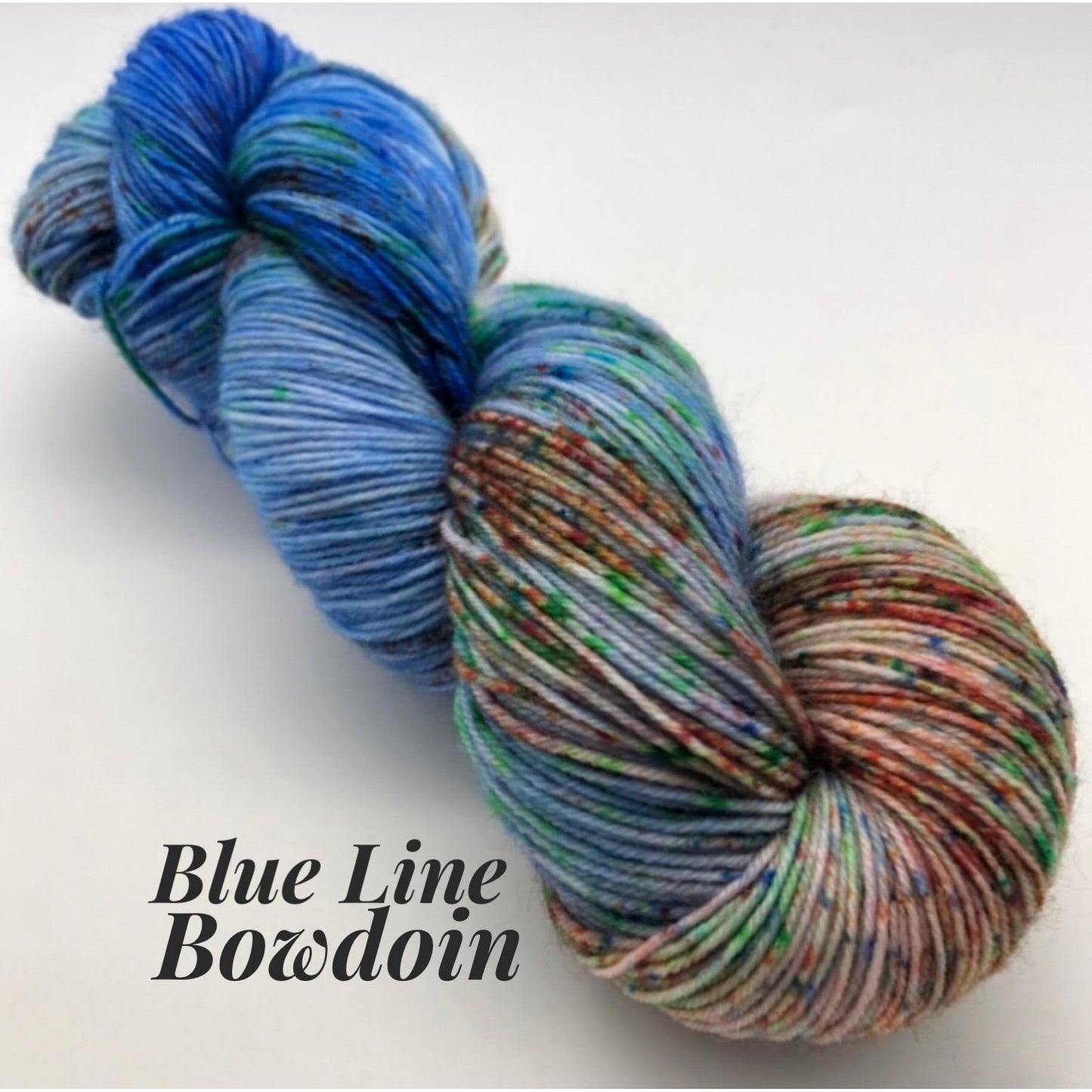 Road Trip Sock Yarn-MBTA Sock Yarn-yarn-Blue Line - Bowdoin-gather here online