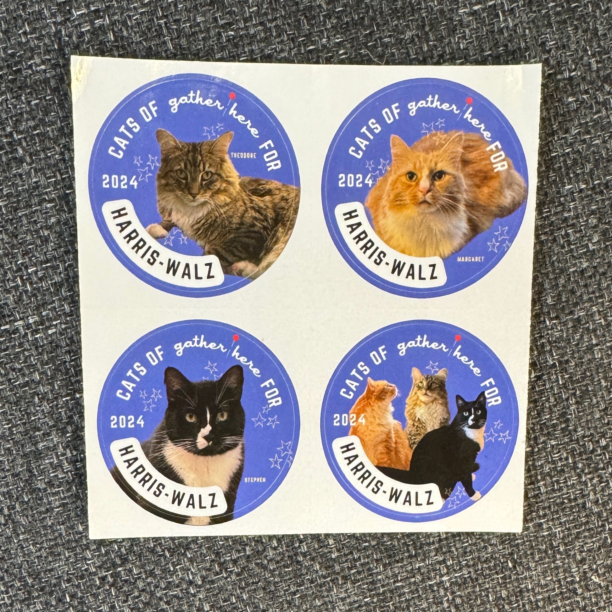 gather here-Cats of gh for Harris-Walz 2024 Sticker Sheet-sticker-gather here online