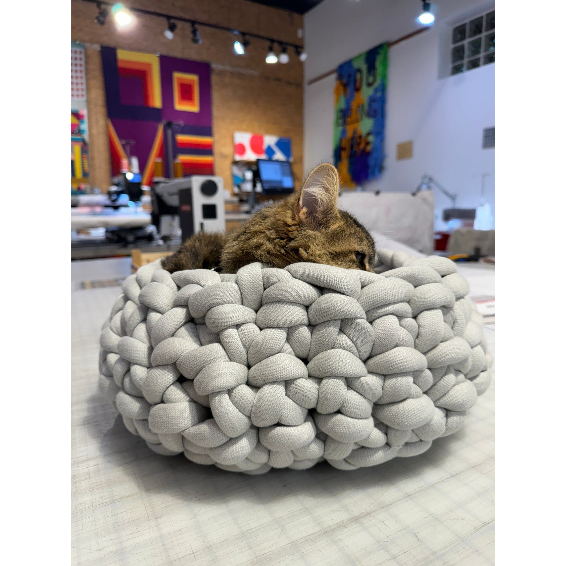 Theodore the shop cat & su-purr-visor in the finger crocheted cat basket