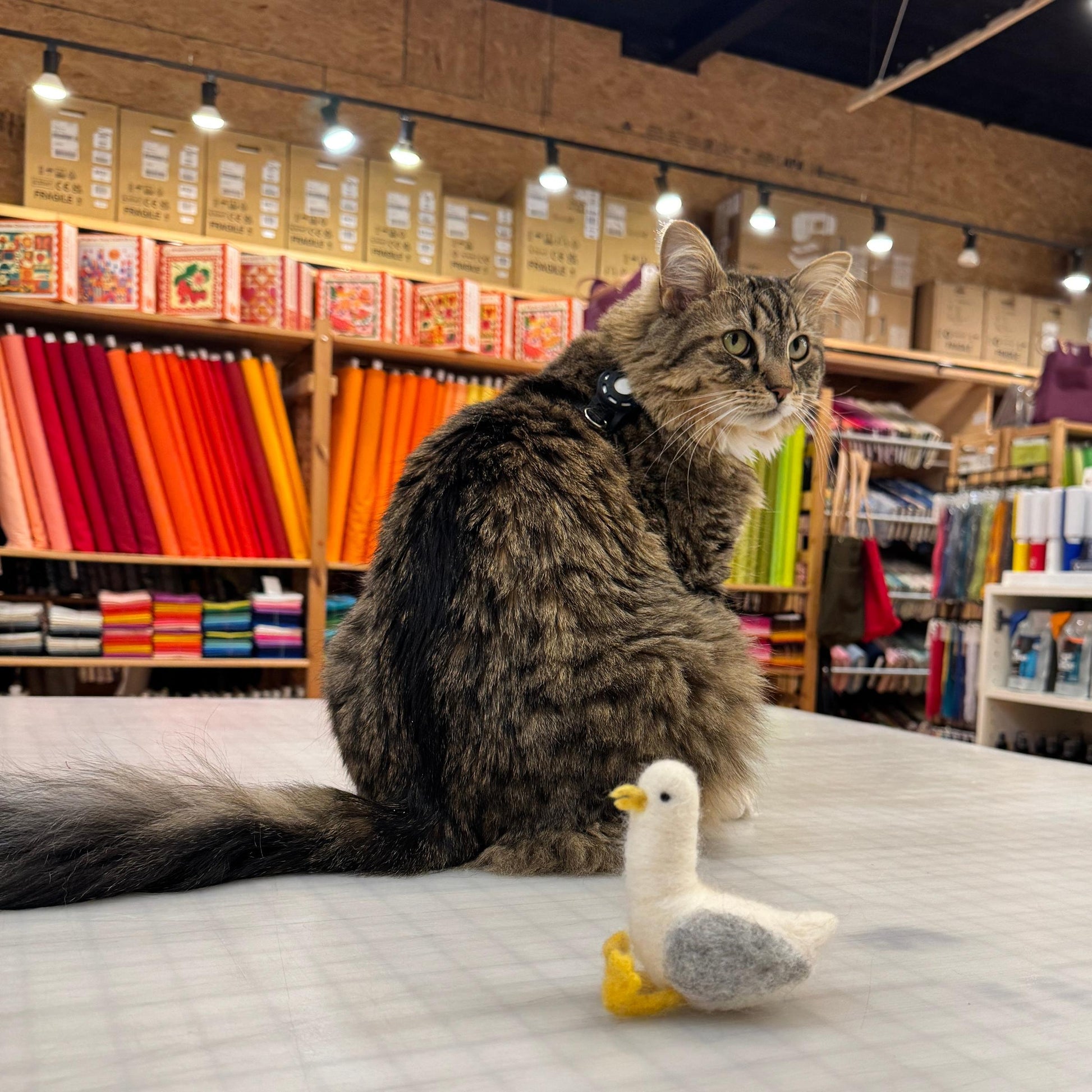 gather here classes-Needle Felted Seagull-class-gather here online