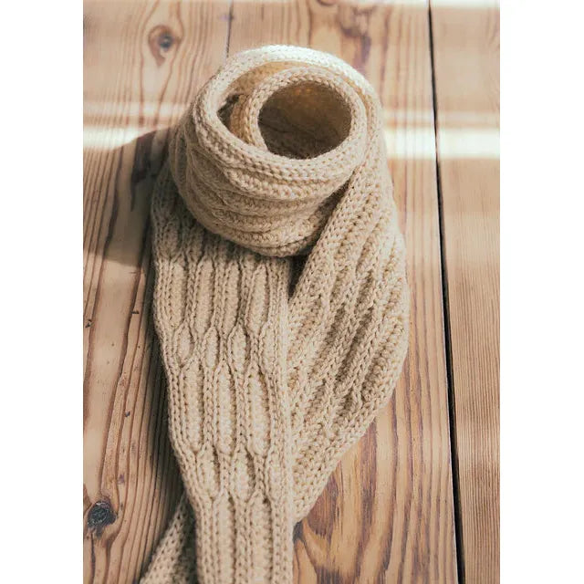 amirisu-Lumières DARUMA Collection 2025-book-gather here online