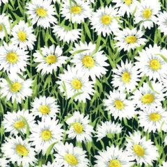 Kokka-Daisy Field on Lawn-fabric-gather here online