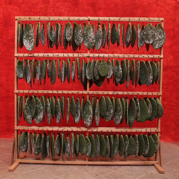 Selvedge Magazine-Selvedge Issue 128: Routes-magazine-gather here online