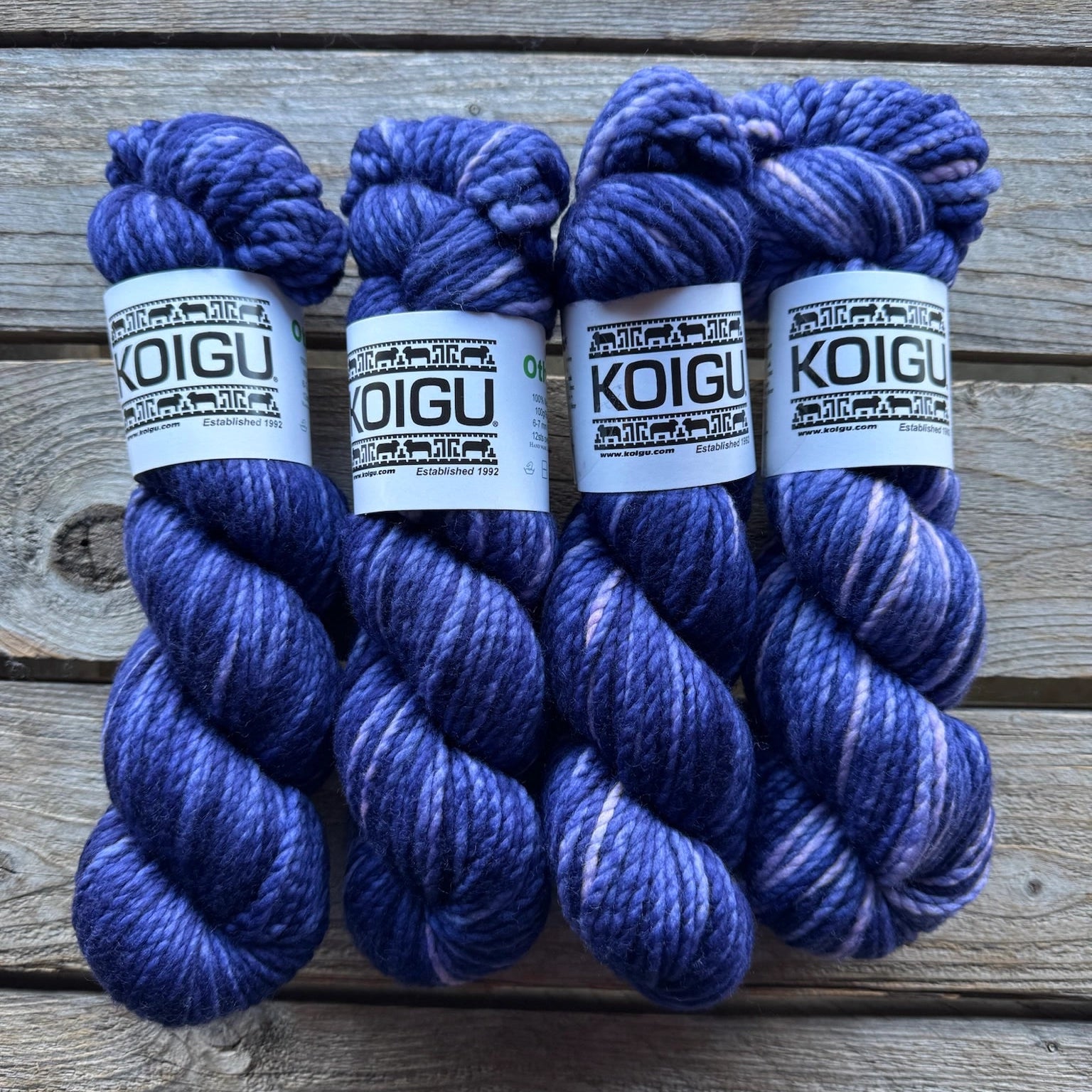 Koigu-Othello Merino-yarn-O1016-gather here online