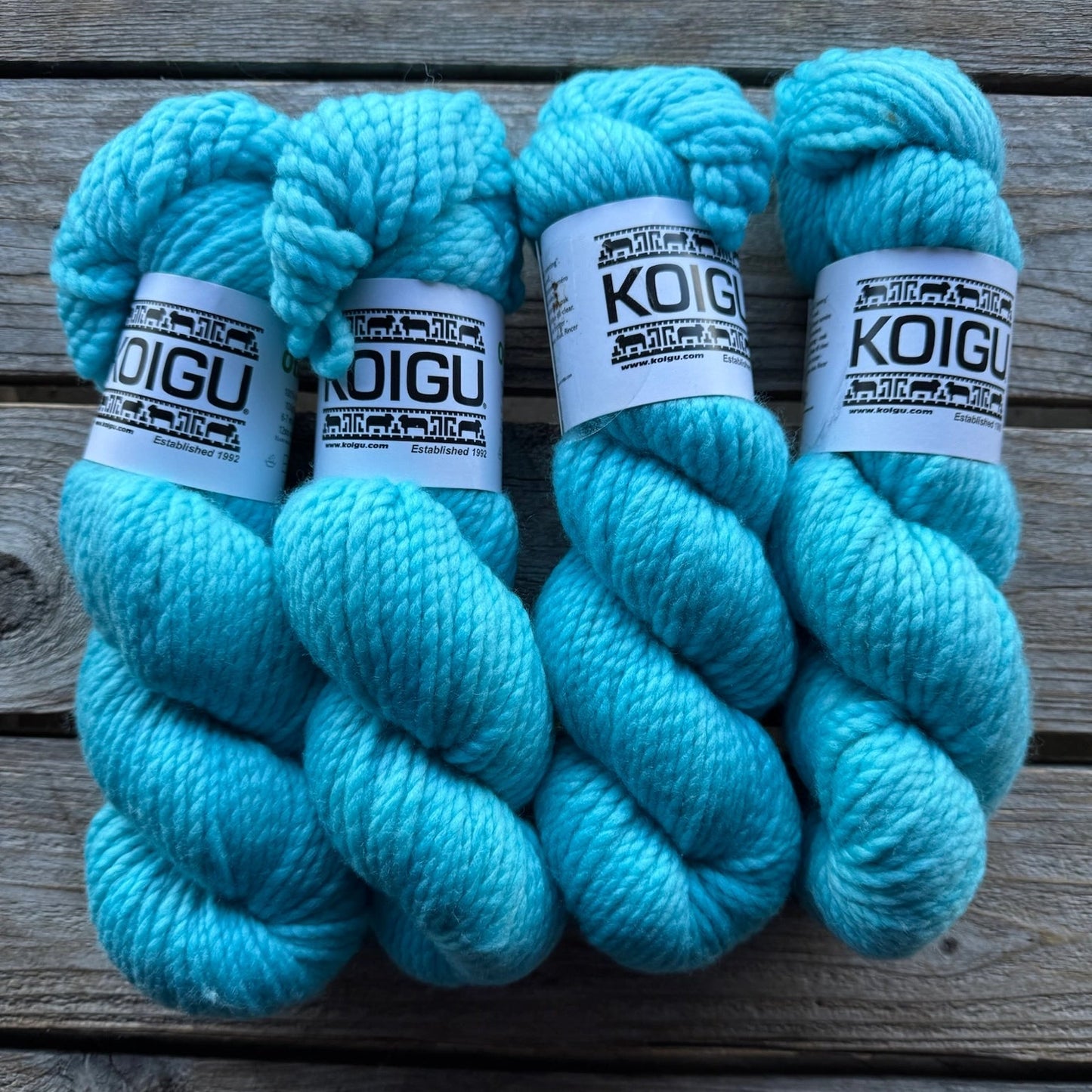 Koigu-Othello Merino-yarn-O1070-gather here online