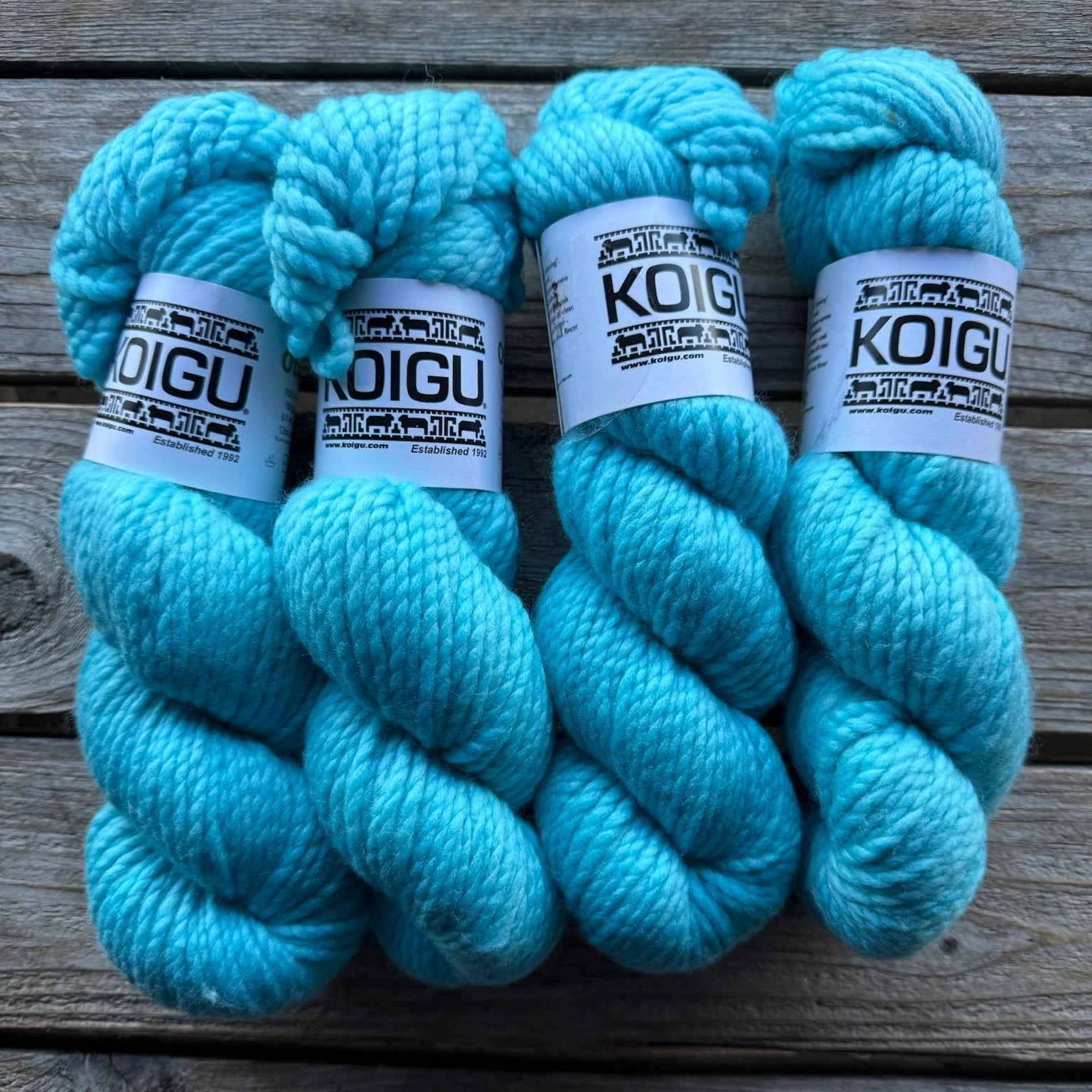 Koigu-Othello Merino-yarn-O1070-gather here online