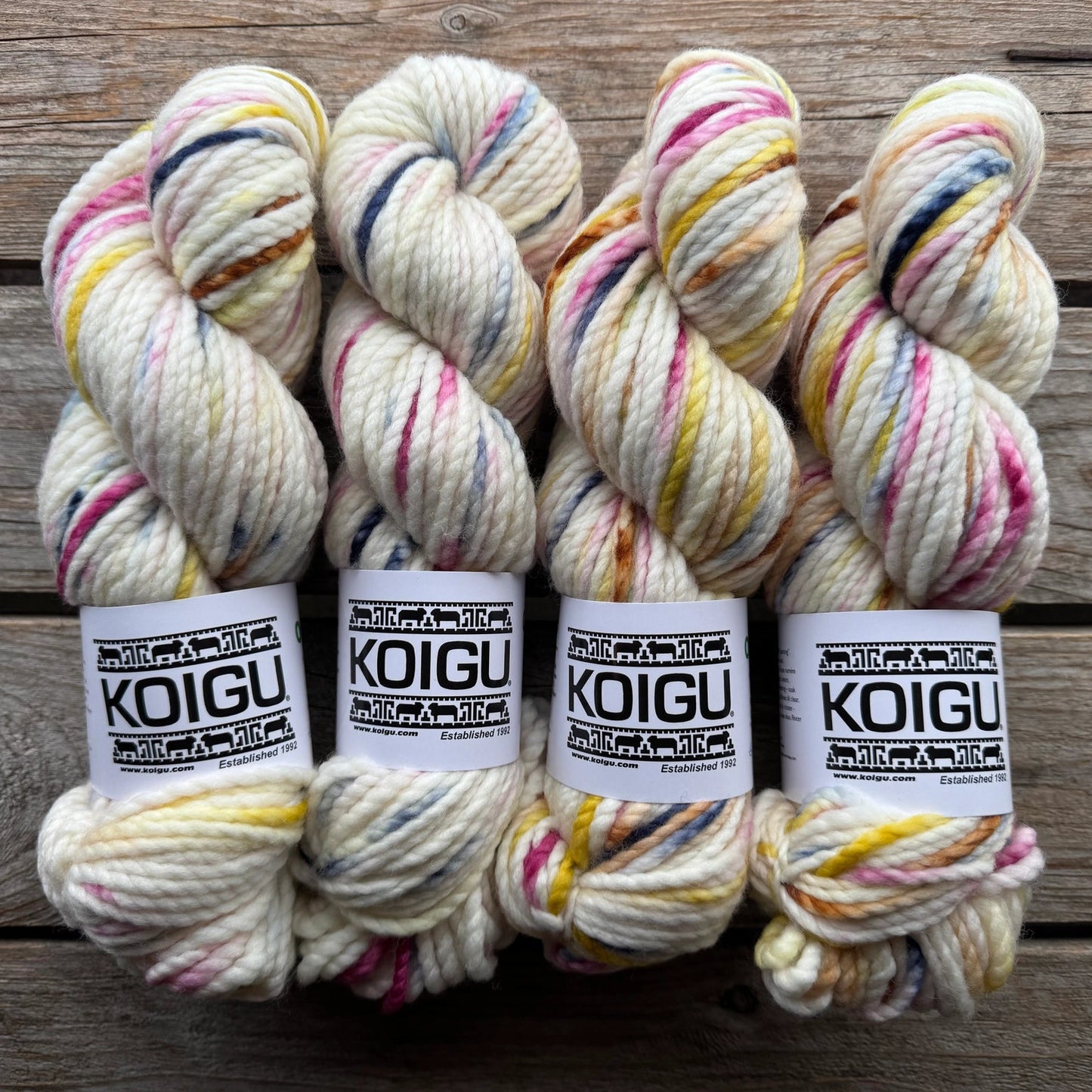 Koigu-Othello Merino-yarn-O170-gather here online