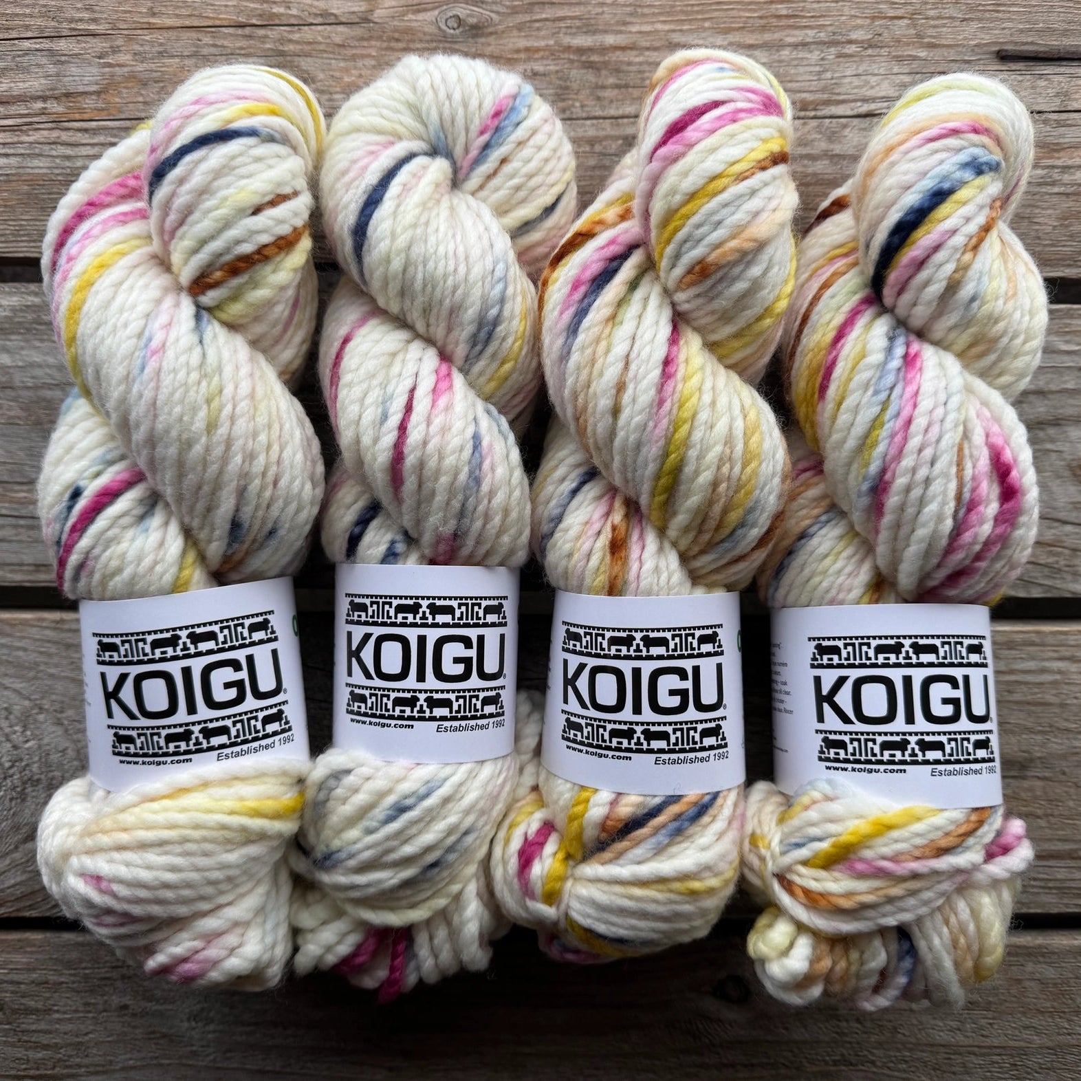 Koigu-Othello Merino-yarn-O170-gather here online