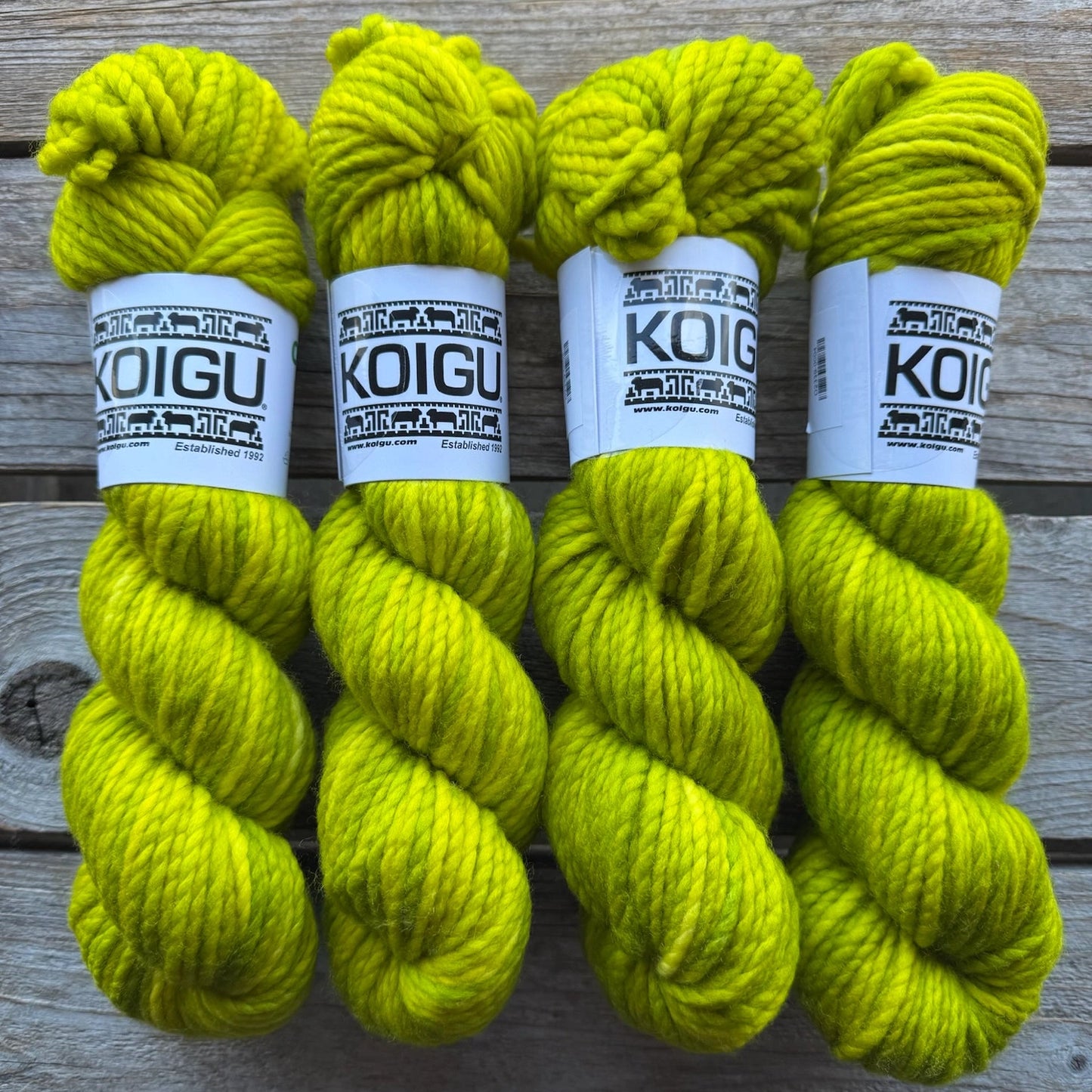 Koigu-Othello Merino-yarn-O2339-gather here online