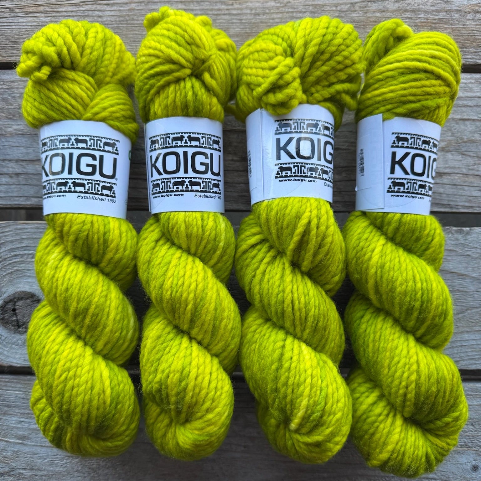 Koigu-Othello Merino-yarn-O2339-gather here online