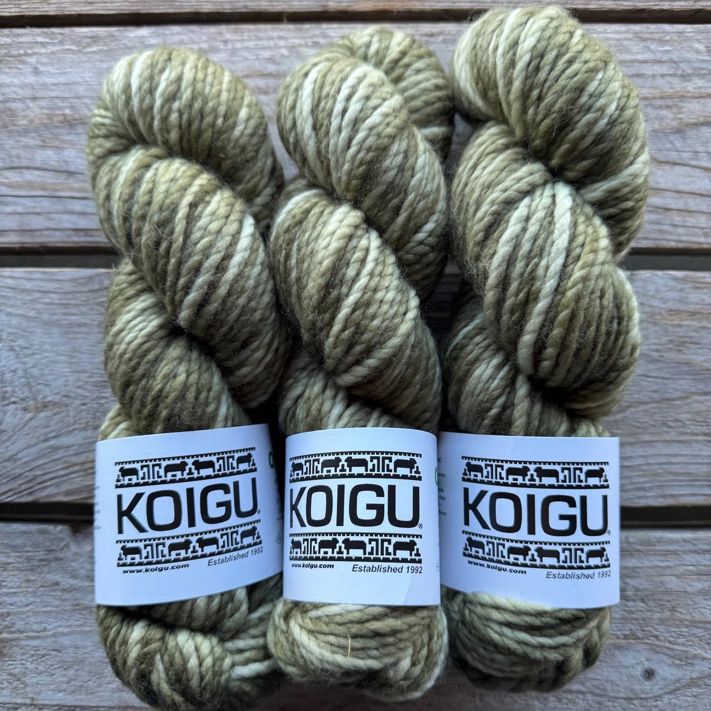 Koigu-Othello Merino-yarn-O2340-gather here online
