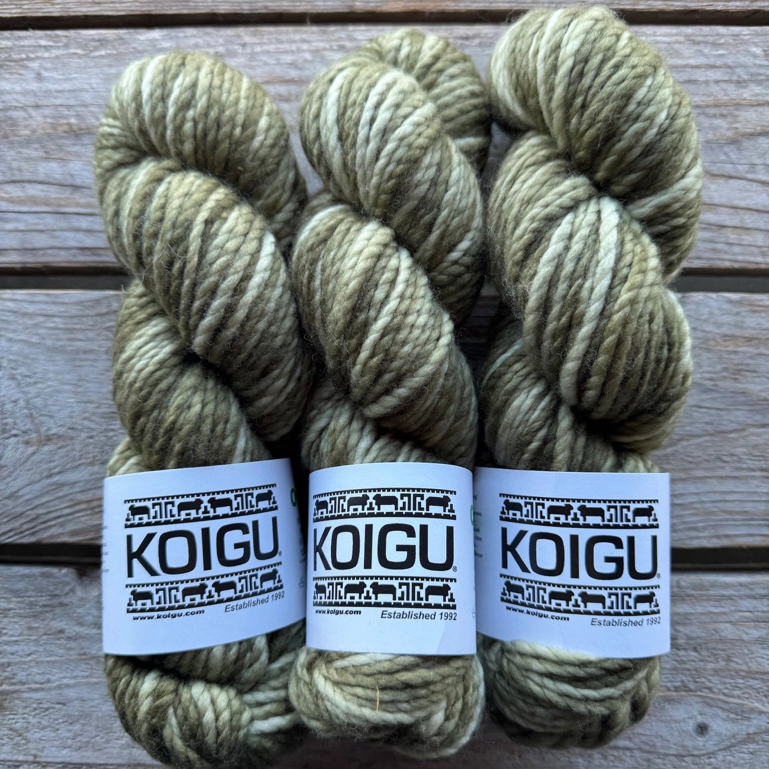 Koigu-Othello Merino-yarn-O2340-gather here online