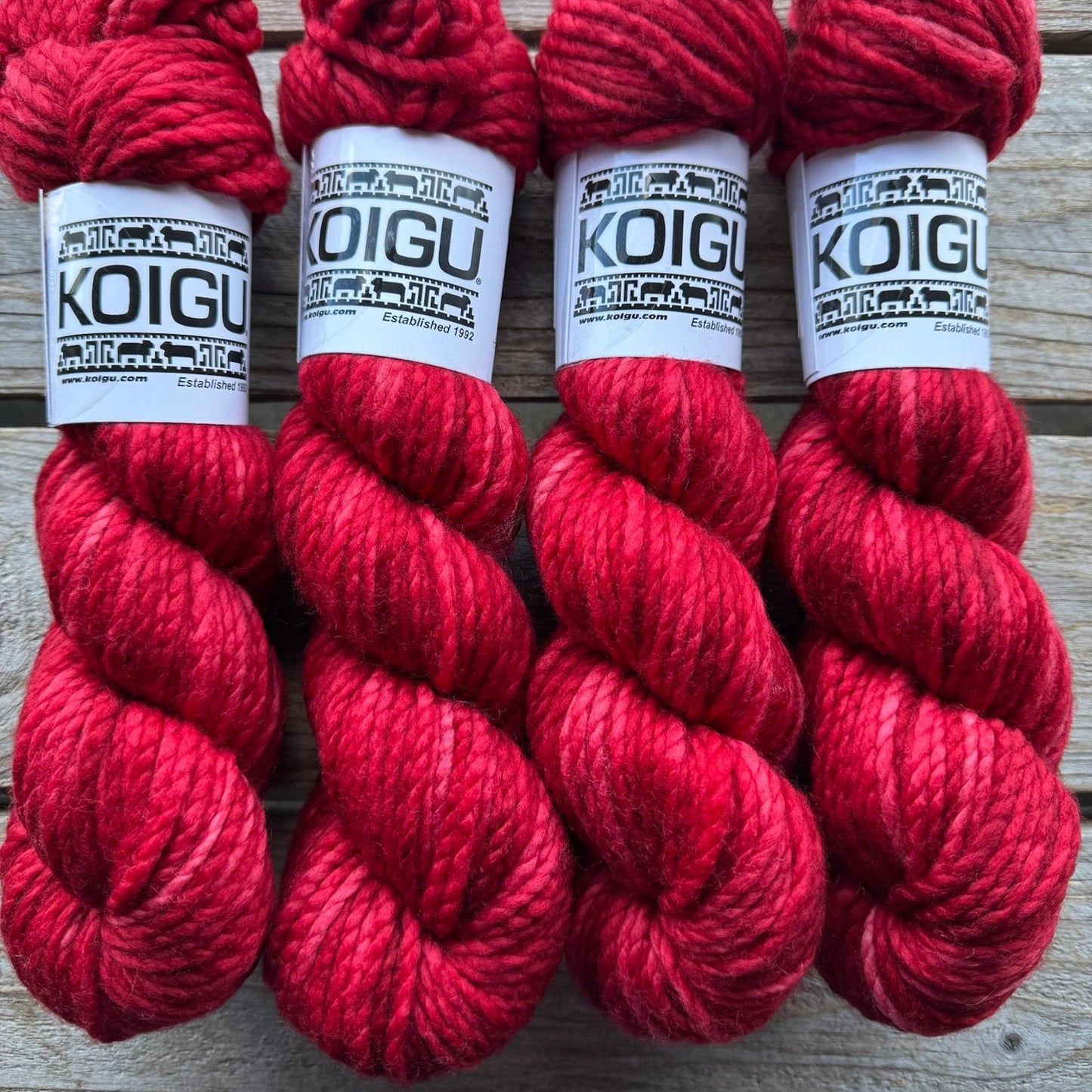 Koigu-Othello Merino-yarn-O5150-gather here online