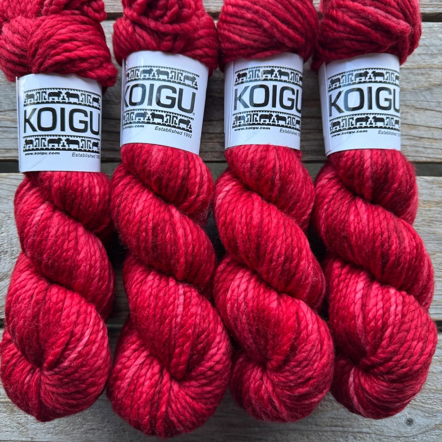 Koigu-Othello Merino-yarn-O5150-gather here online