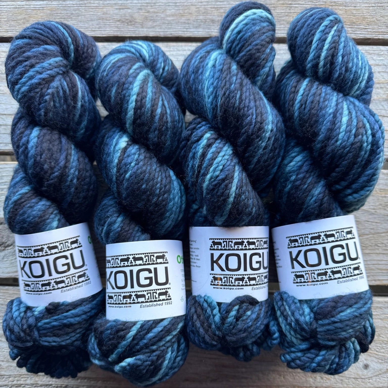 Koigu-Othello Merino-yarn-O5520-gather here online