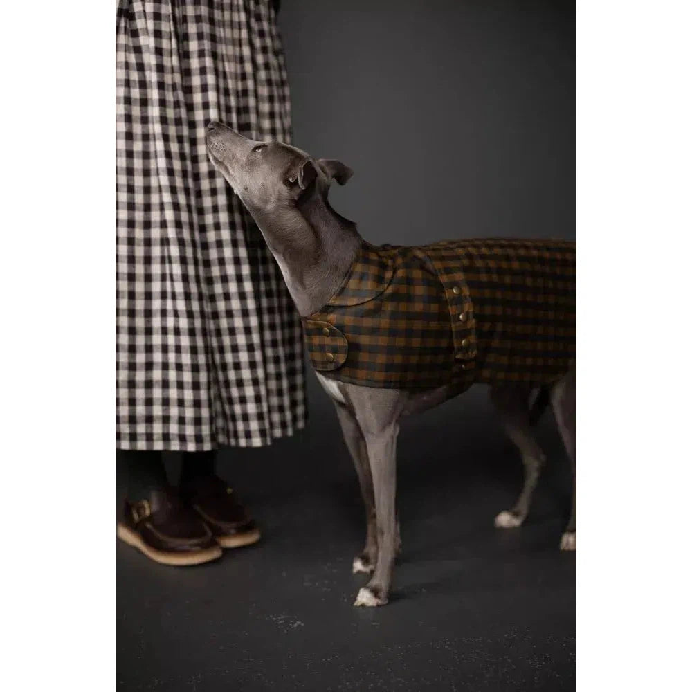 Barka Dog Coat Pattern - PDF DOWNLOAD – gather here online barka-dog-coat-pattern-pdf-download-gather-here-online