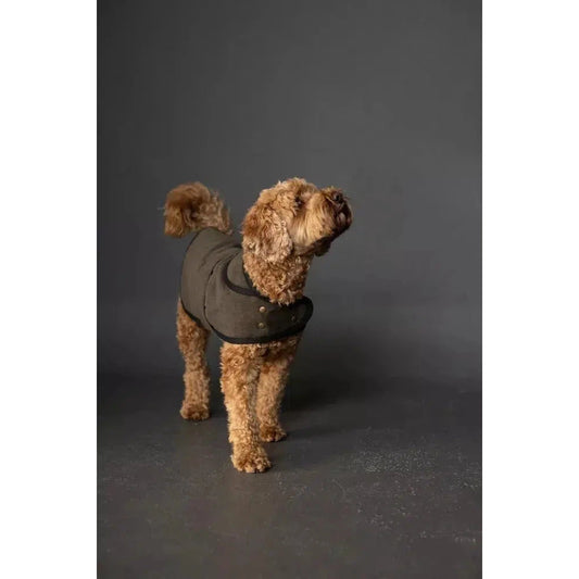 Merchant & Mills-Barka Dog Coat Pattern - PDF DOWNLOAD-sewing pattern-gather here online