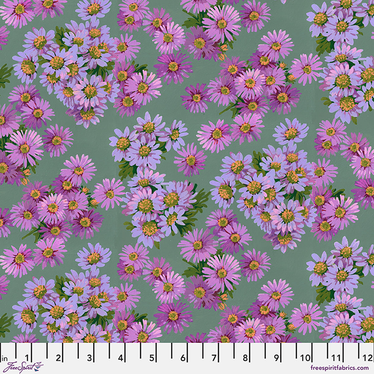 Asters Purple