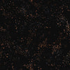 Ruby Star Society-Speckled Canvas-fabric-61LM Metallic Black-gather here online