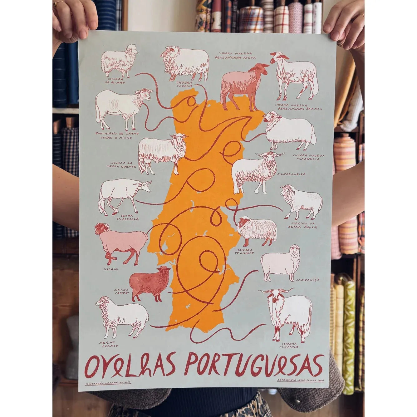 Retrosaria Rosa Pomar-Portuguese Sheep Breeds Print-accessory-gather here online