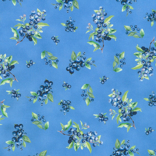 Robert Kaufman-Blueberry Bunches Blue Jay-fabric-gather here online