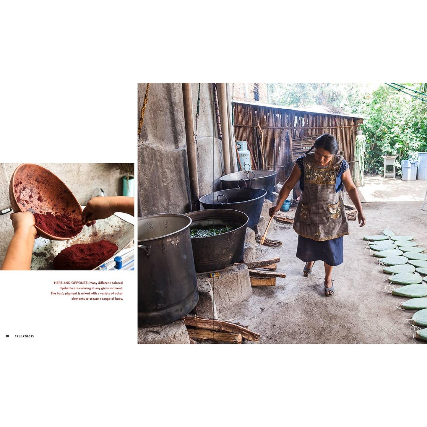 Schiffer Publishing-True Colors, 1st Edition-book-gather here online