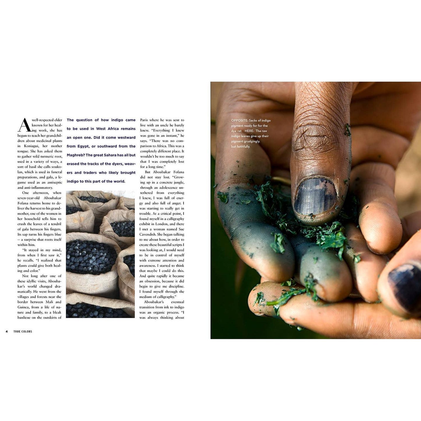 Schiffer Publishing-True Colors, 1st Edition-book-gather here online