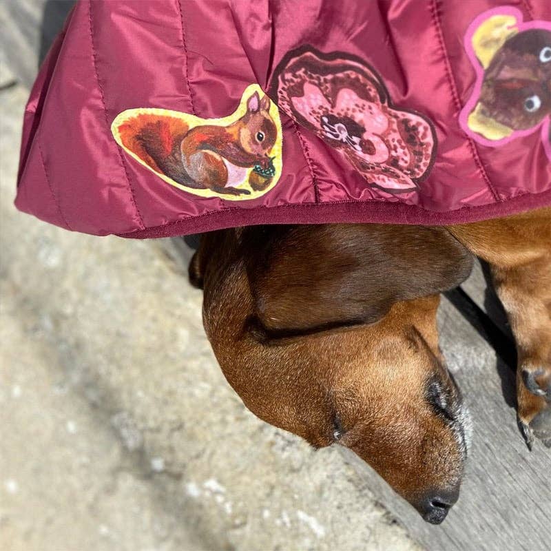 Noso Patches-Brown Squirrel Adhesive Patch-patches + pins-gather here online