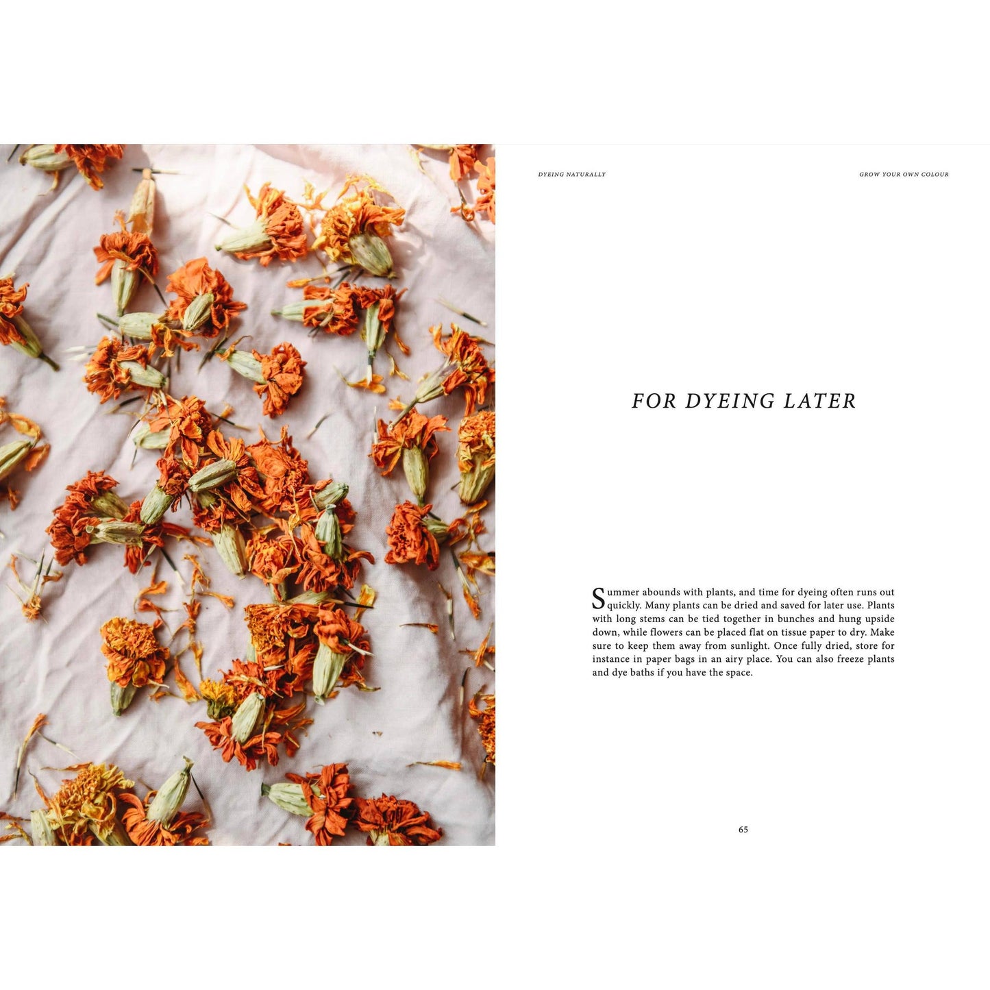 Cozy Publishing-Crafts & Knitting: Dyeing Naturally-book-gather here online