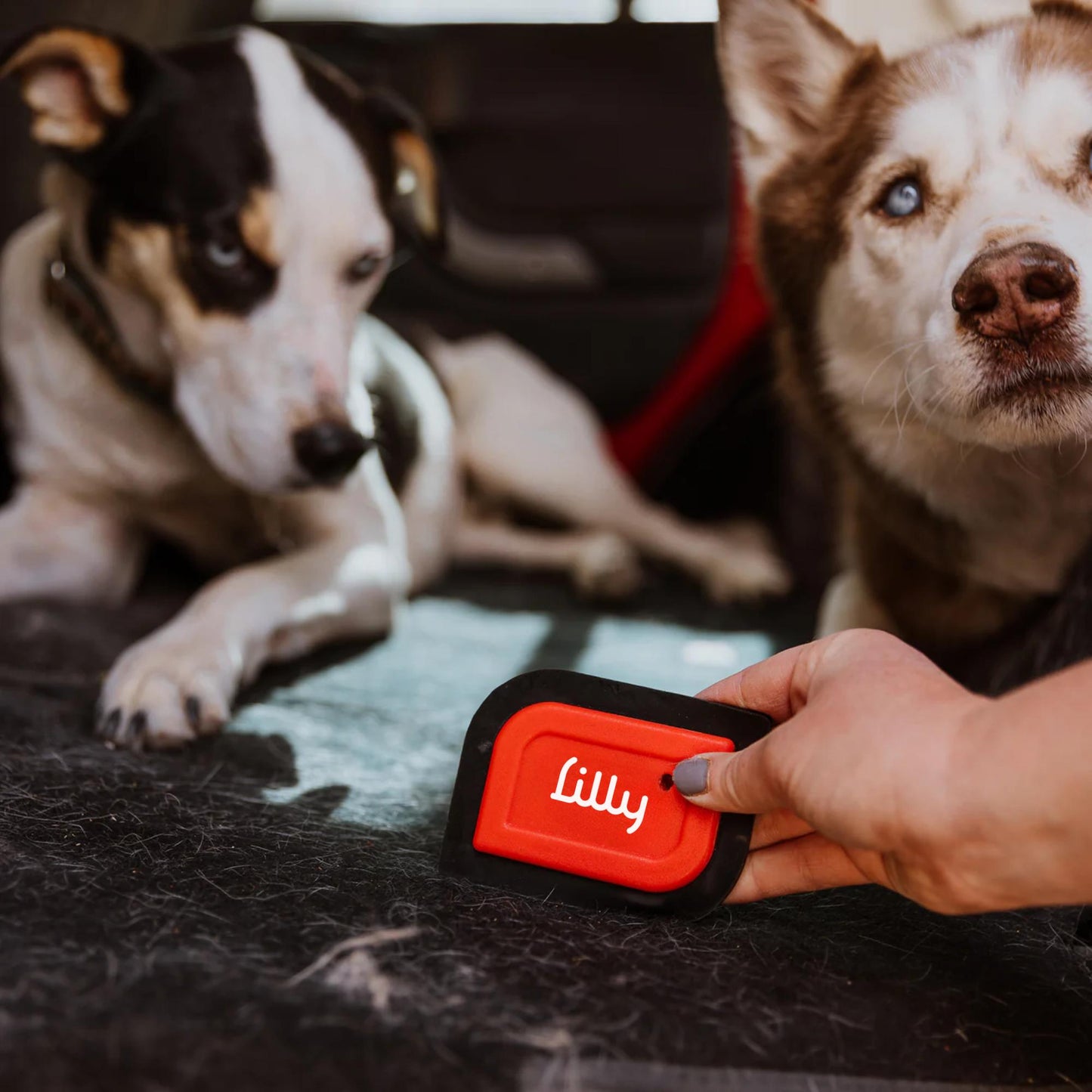 Lilly Brush-Mini Blade-garment care-gather here online