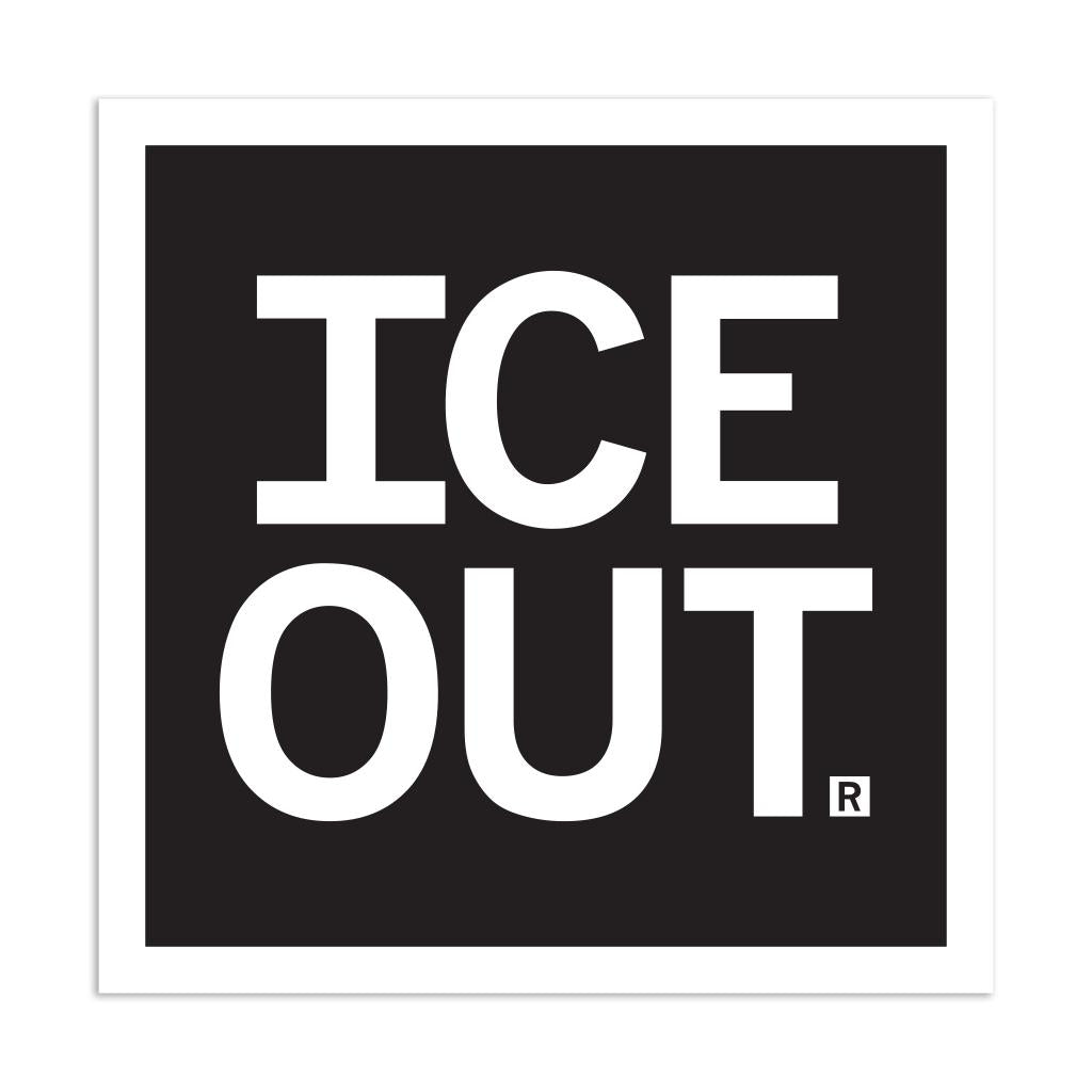 RAYGUN-ICE Out Vinyl Sticker-sticker-gather here online