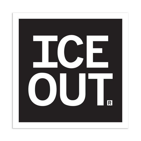 RAYGUN-ICE Out Vinyl Sticker-sticker-gather here online