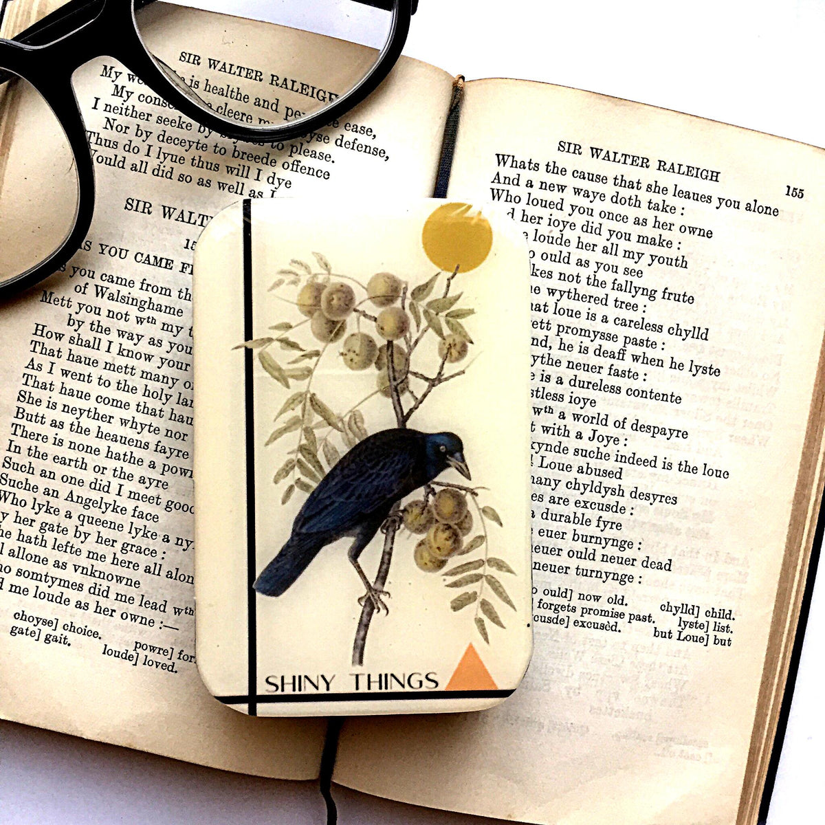 Firefly Notes-Crow Shiny Things Large Tin-craft organizer-Large-gather here online