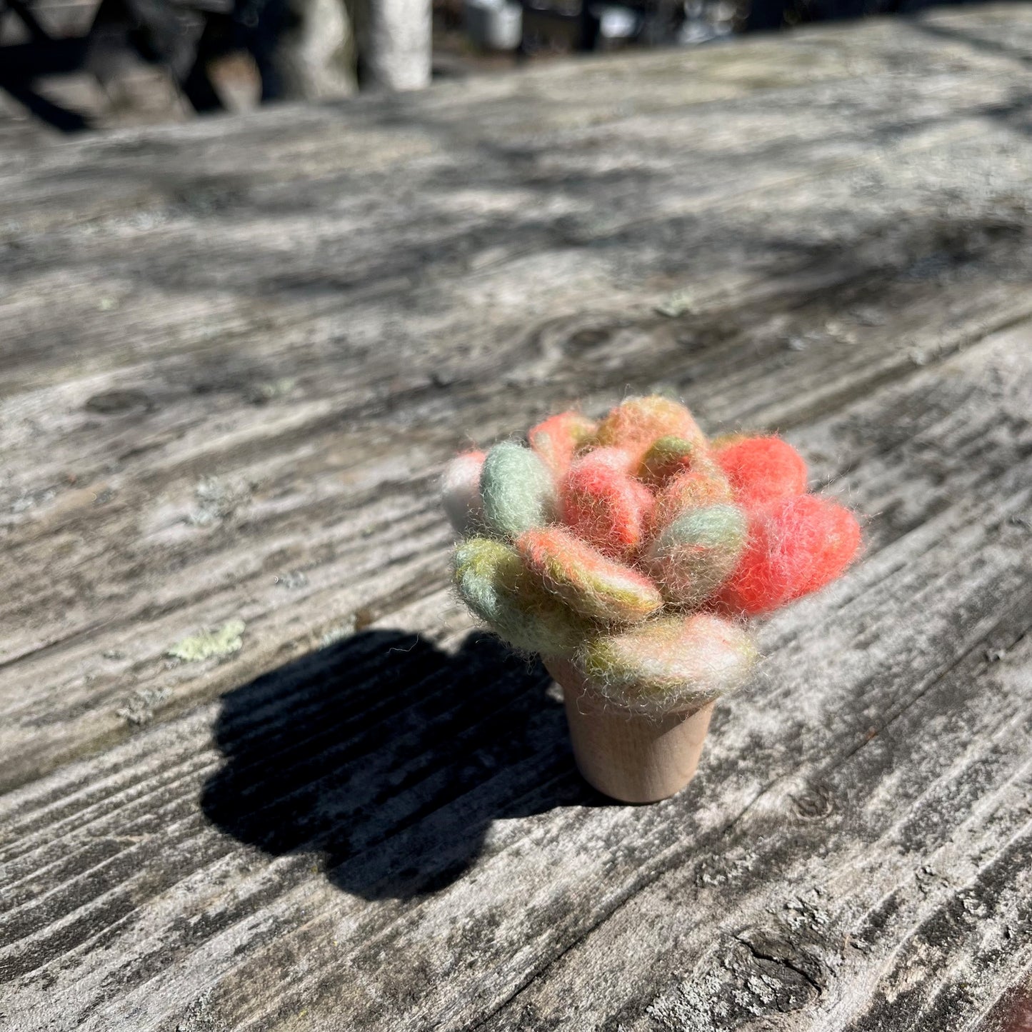 gather here classes-Needle Felted Succulent-class-gather here online