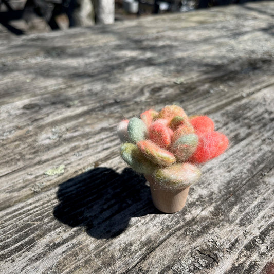 gather here classes-Needle Felted Succulent-class-gather here online