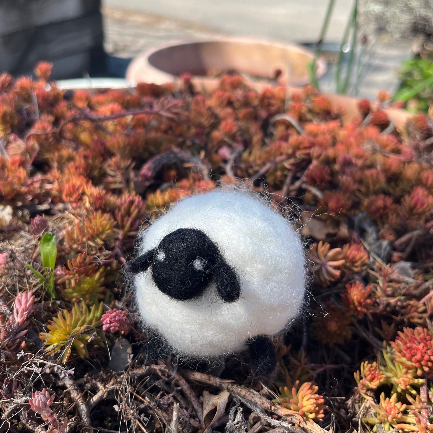 gather here classes-Needle Felted Sheep-class-gather here online