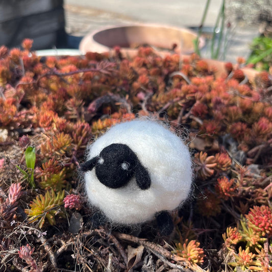 gather here classes-Needle Felted Sheep-class-gather here online