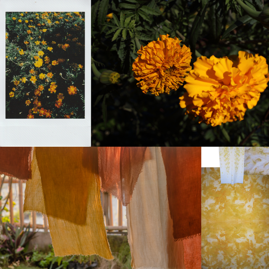 gather here classes-Hallow'd Hues: Dyes to Die For-class-gather here online