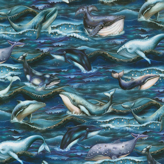 Whales Midnight