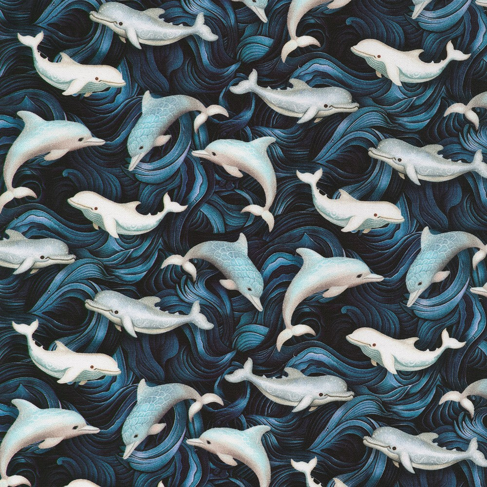 Dolphins Midnight