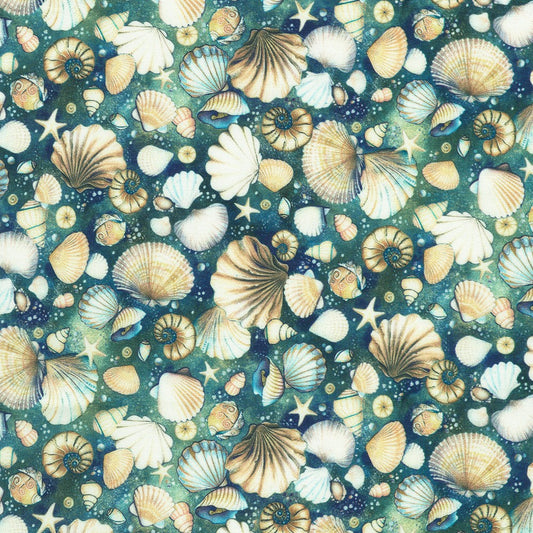 Shells Tidepool