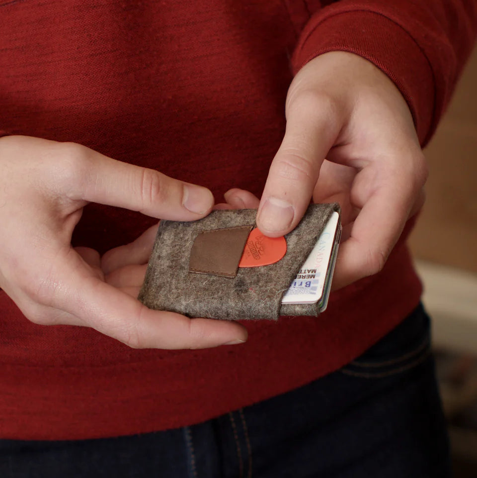 The Card Wallet PDF