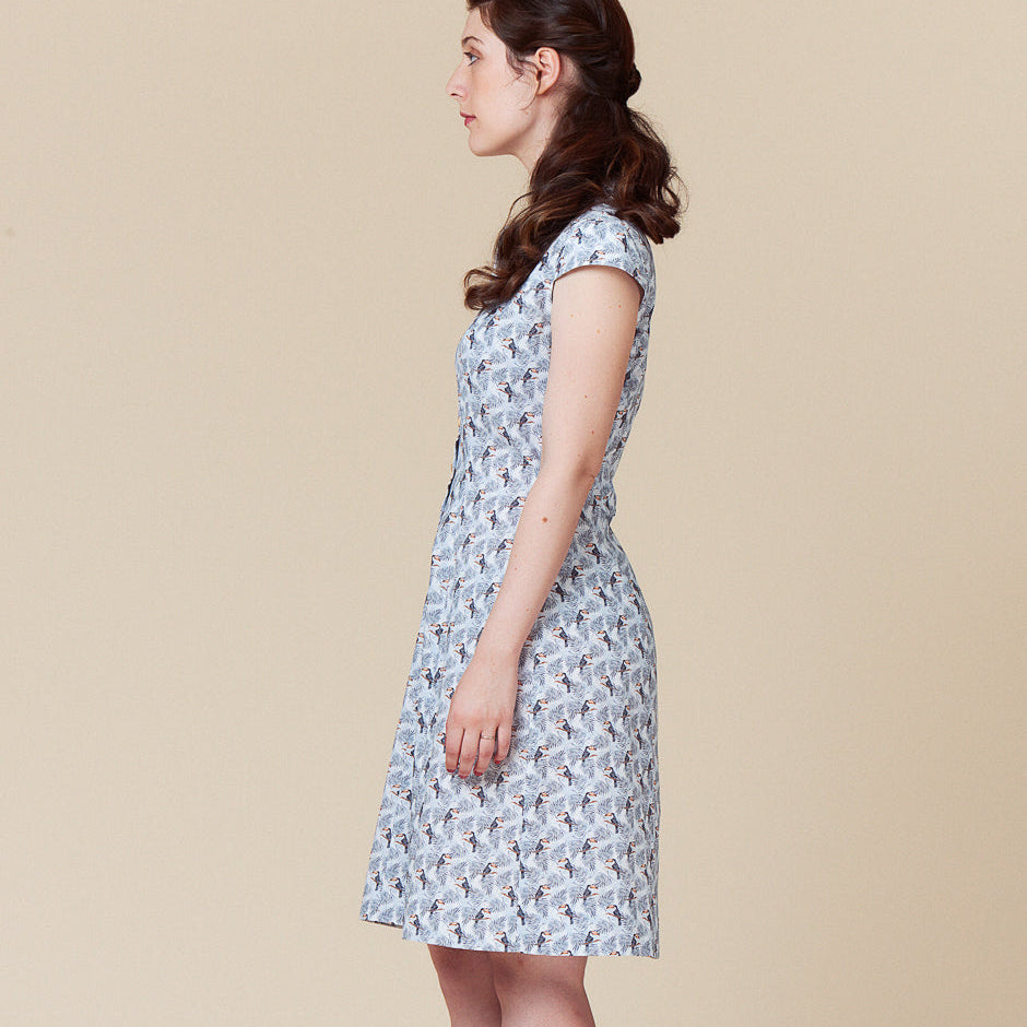 Bleuet Dress Pattern