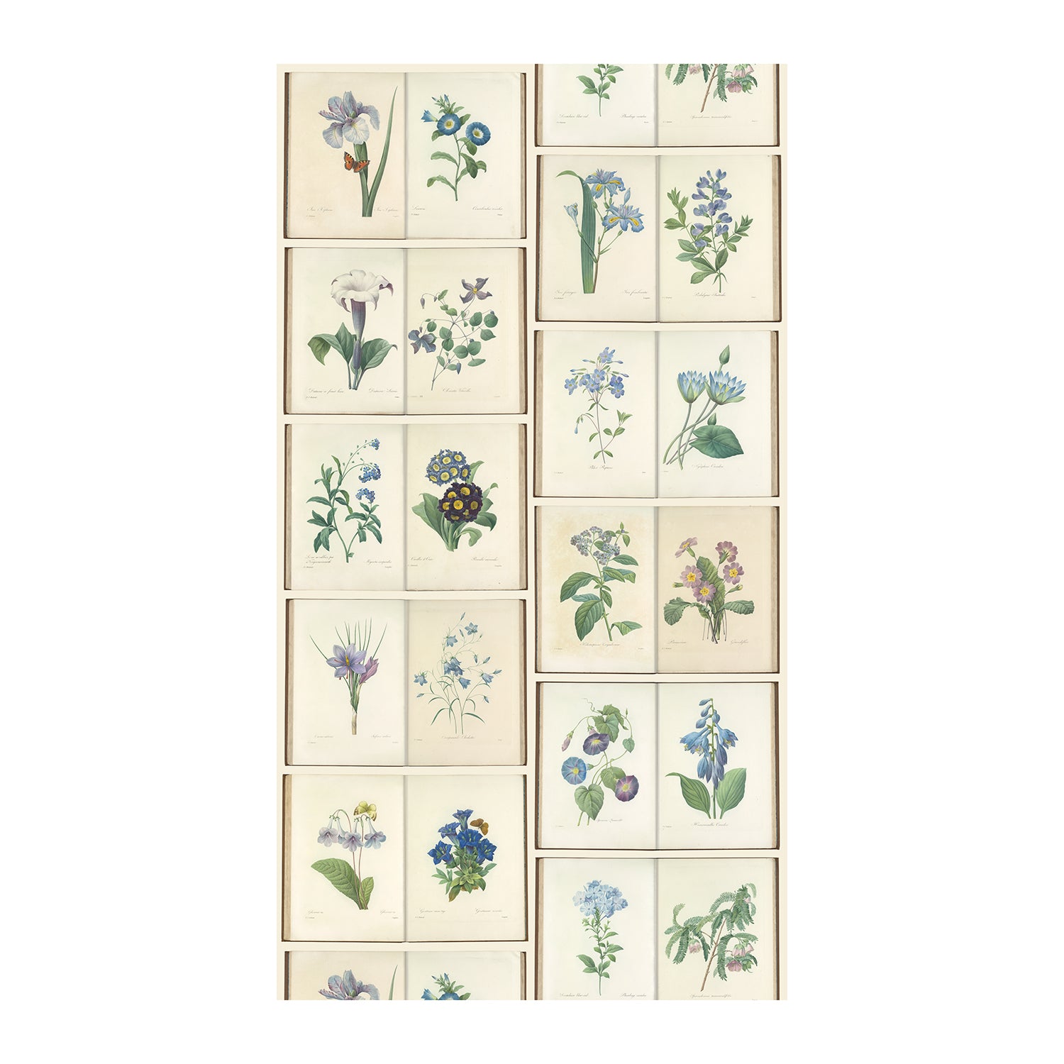 RJR-Graceful Garden Blue Digiprint-fabric-gather here online