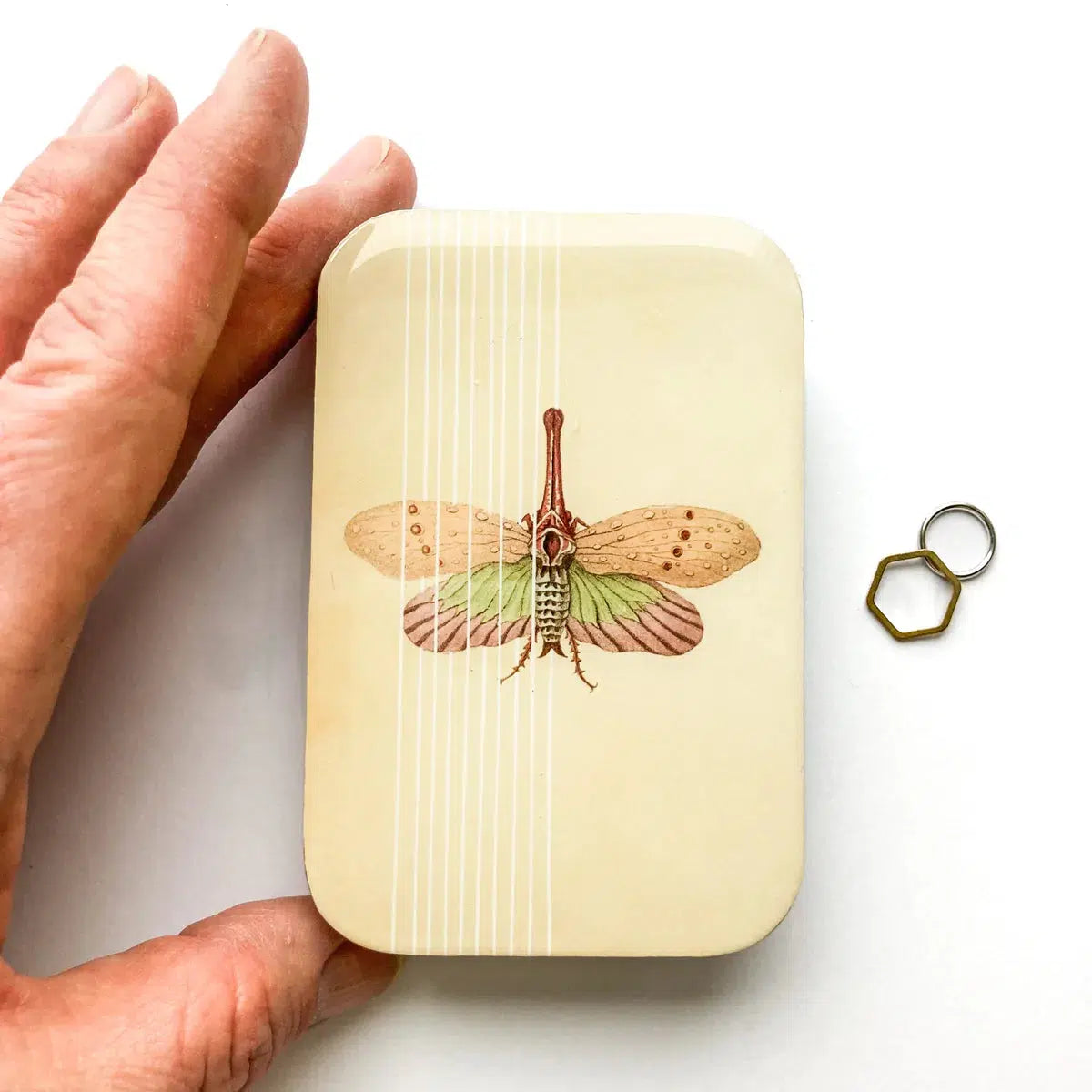 Firefly Notes-Spring Moth Large Notion Tin-accessory-gather here online